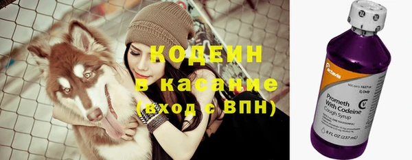 стафф Дмитров