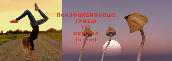 крисы Алексеевка