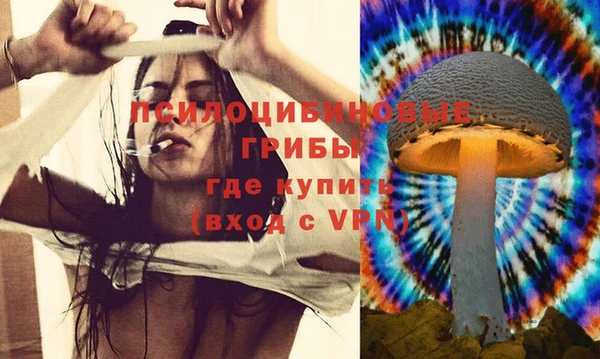 крисы Алексеевка