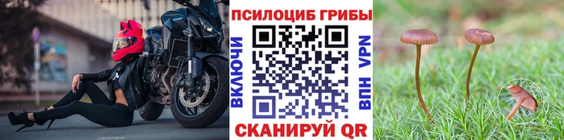 Псилоцибиновые грибы ЛСД  Воткинск 